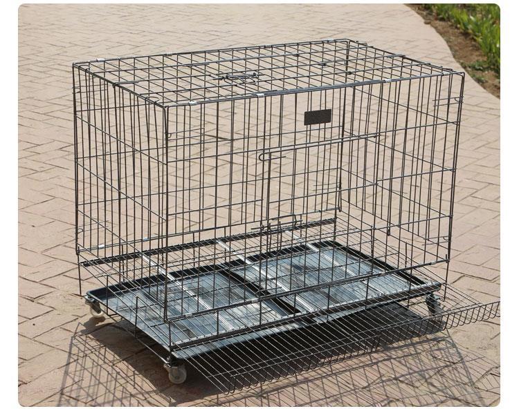 鸡笼子家用养鸡笼鸡舍大号特大号家禽养殖笼加粗折叠笼自动滚蛋笼