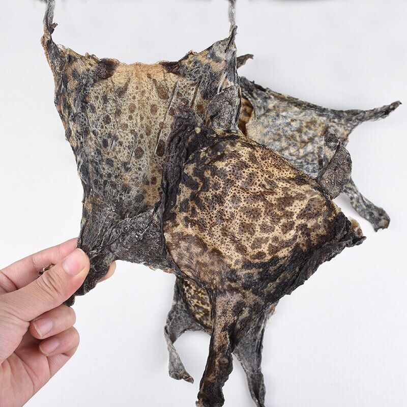 特大整张干10张 癞赖蛤蟆皮 蟾蜍衣皮粉干癞蛤蟆 超值30张