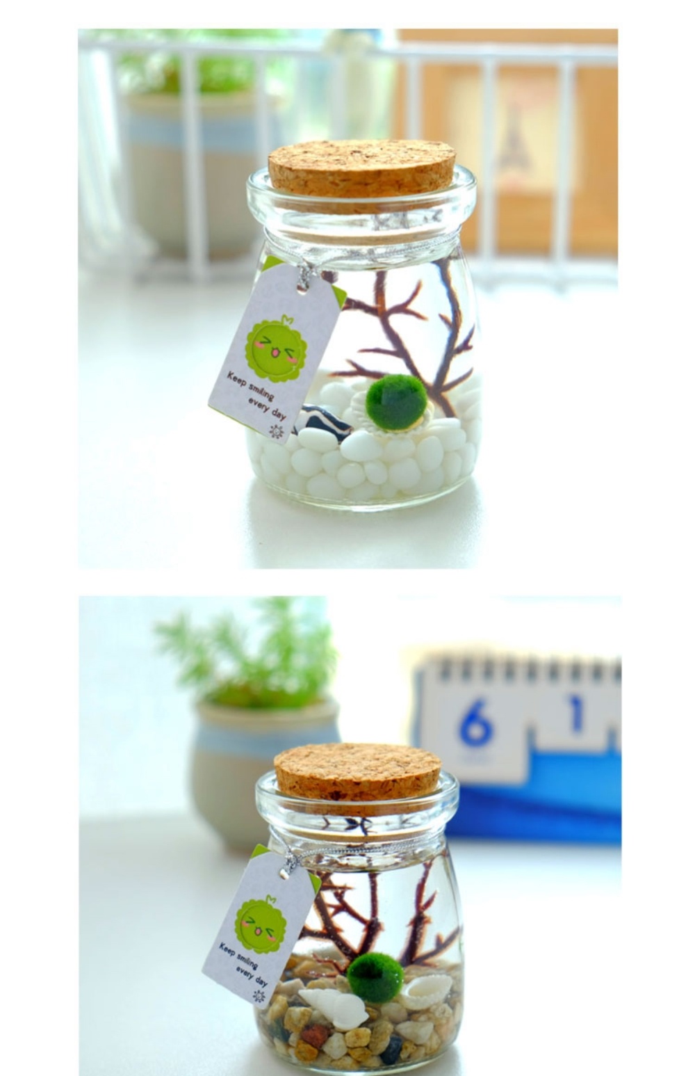 多瑙梦微观生态瓶幸福海藻球微景观玻璃瓶迷你盆栽创意礼物水培植物