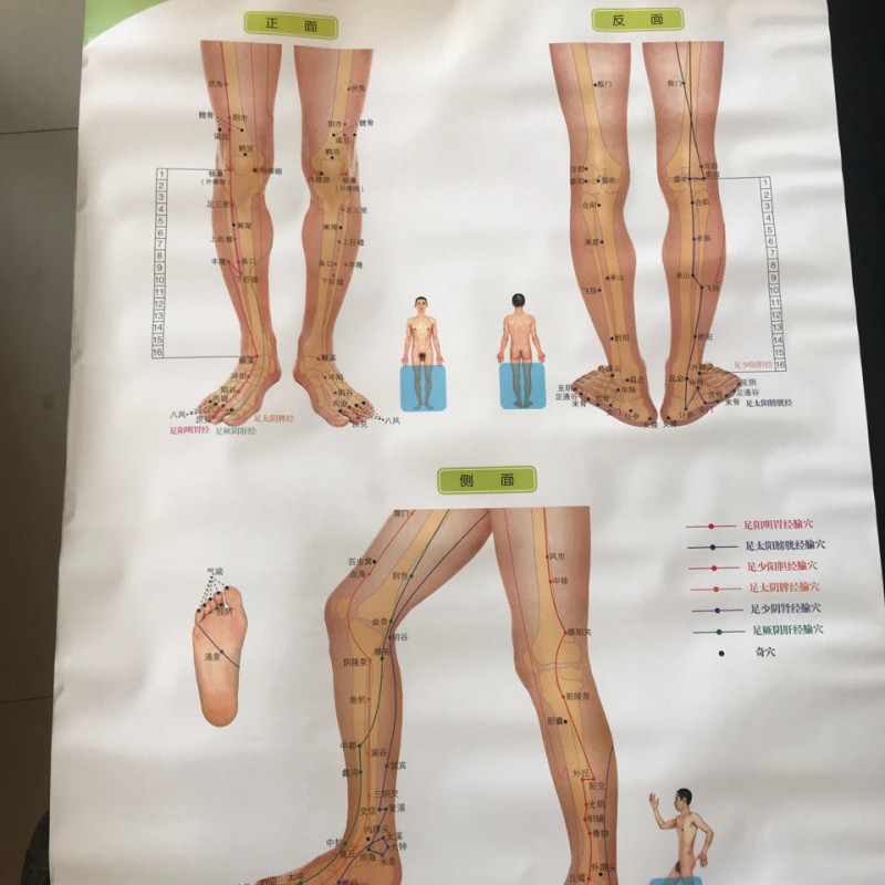 經絡圖足腿部經穴與反射區標準掛圖中醫書針灸穴位圖