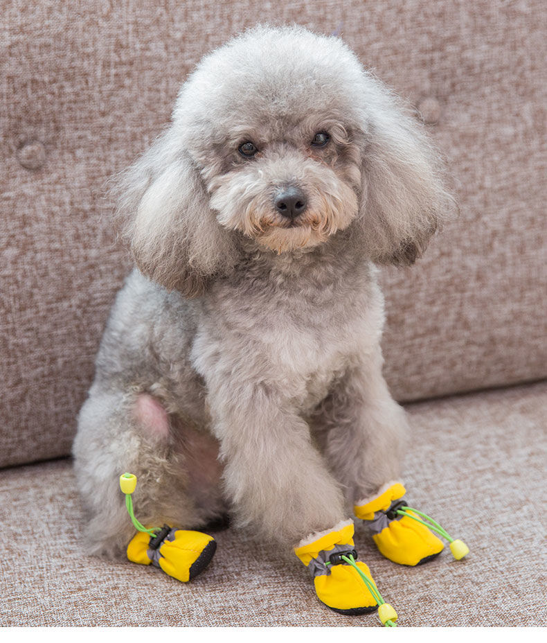 精选小狗狗的鞋子泰迪小型犬宠物比熊防掉鞋套雨鞋防水不掉脚春秋软底