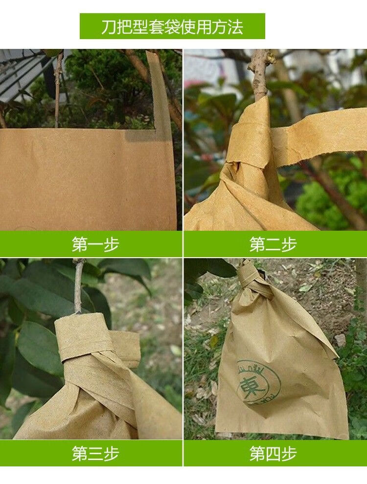 磐阙 上新金煌芒果专用套袋芒果纸袋芒果莲雾释迦套袋专用袋芒果袋