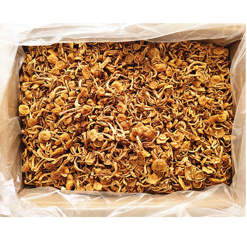 2020年新货东北滑子菇干货500g黑龙江省大兴安岭特产滑子蘑小黄蘑