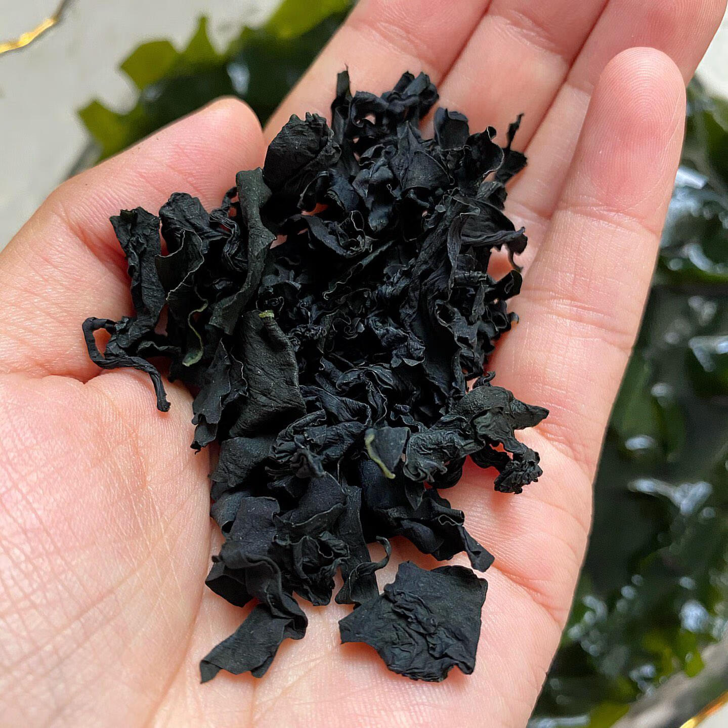 好柒哒烘干裙带菜干紫菜海带干货海带苗嫩芽嫩苗海白菜小包25gx9小包0