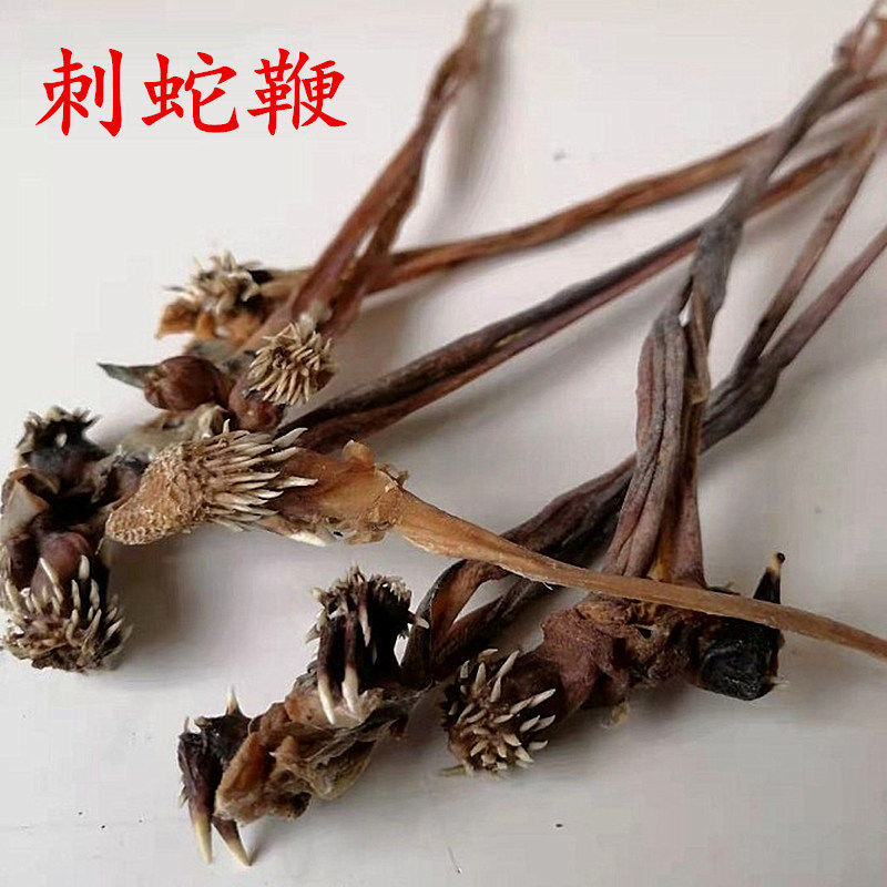 花初醒中药材蛇鞭干 刺蛇鞭 蛇鞭 泡酒料 2条装 5条装 10条装 2条装