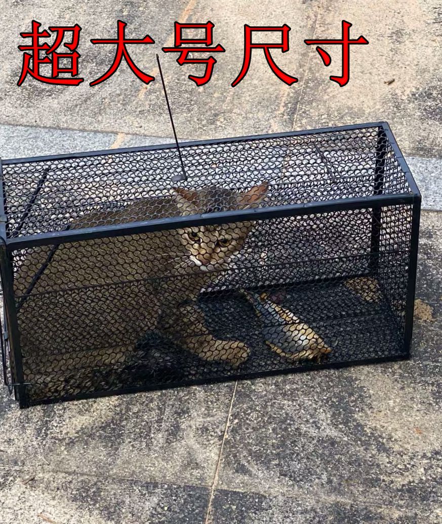 人道救助全自动捕猫笼 寻猫笼子流浪猫捉捕笼 逮猫驱赶抓猫笼 xl[51.