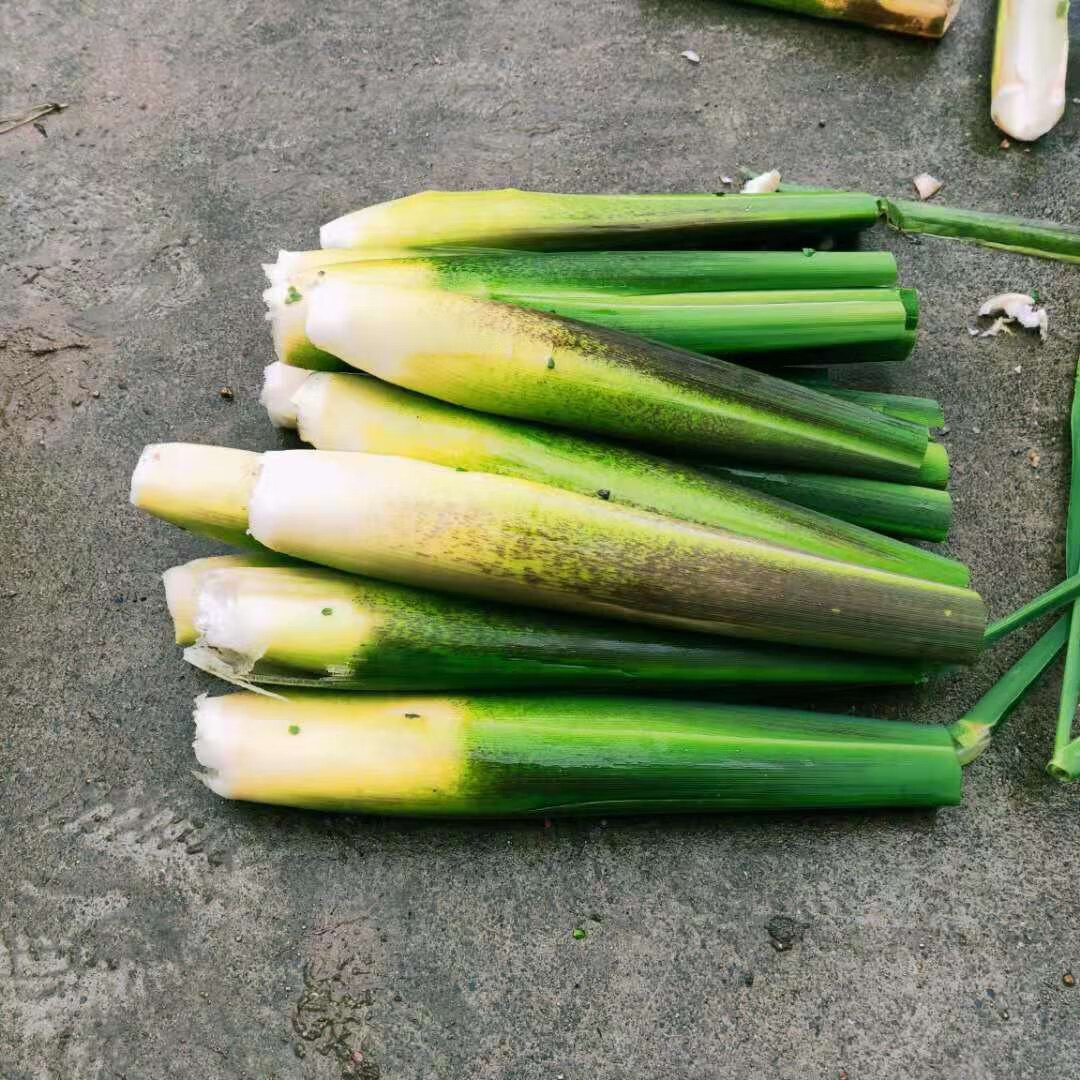 新鲜茭白高瓜高笋水笋时令蔬菜茭儿孕妇酒店食材 500g【图片 价格