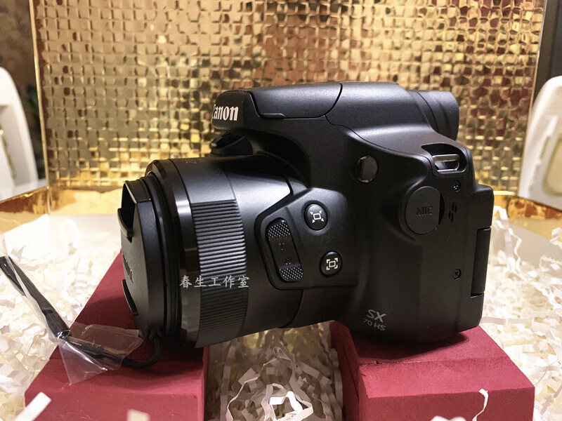 佳能(canon)powershot sx70 hs高清照相机4k长焦家用旅行 sx60 国行