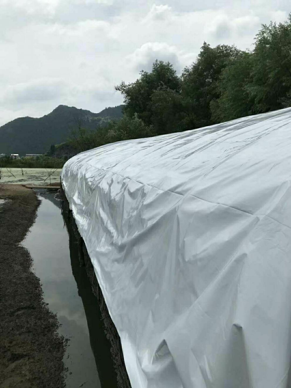 大棚膜养殖加厚黑白膜利得膜防晒隔热保温无滴膜大棚塑料布薄膜 20s