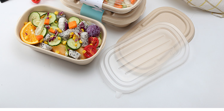 盒长方形快餐纸浆餐盒轻食环保可降解寿司打包盒健身便当餐盒大容量可