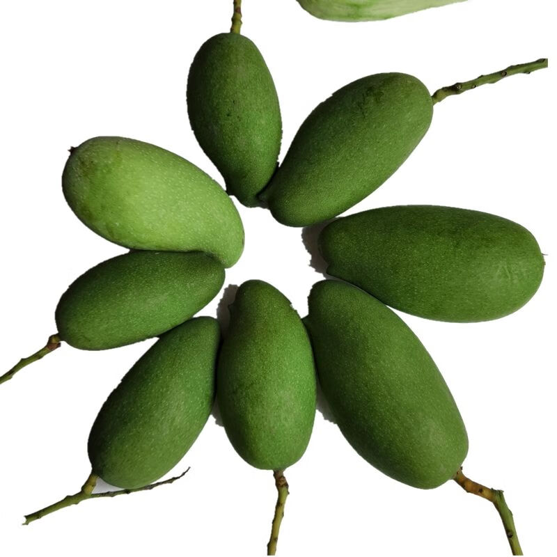 5斤酸芒果云南永德生芒果孕妇新鲜野青芒 3斤泡沫箱 冰包装【图片