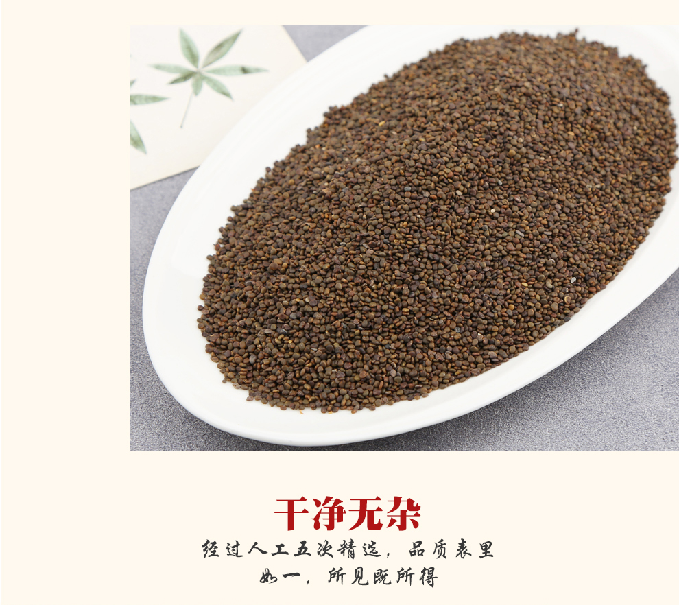 小聰老師沙苑子沙苑蒺藜沙菀子潼蒺藜沙苑子500克1罐