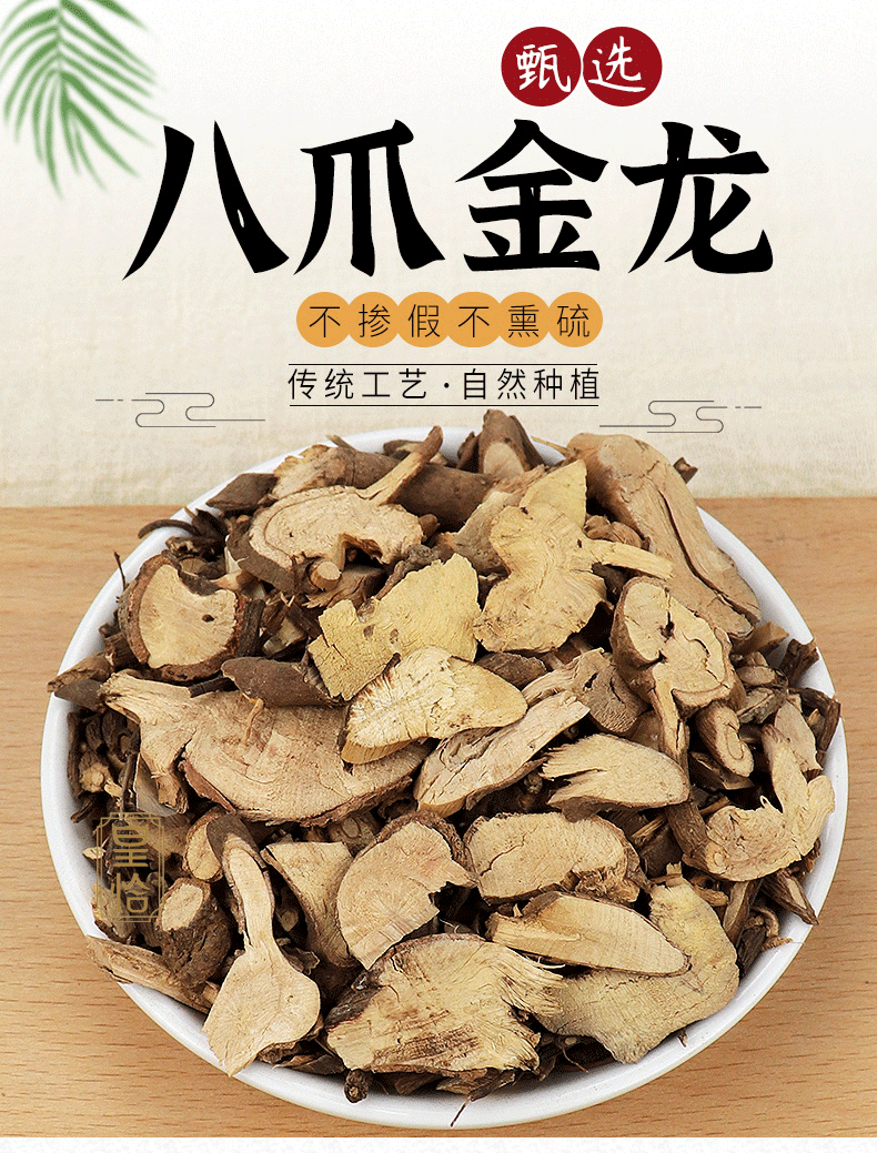 八爪龙草药作用图片