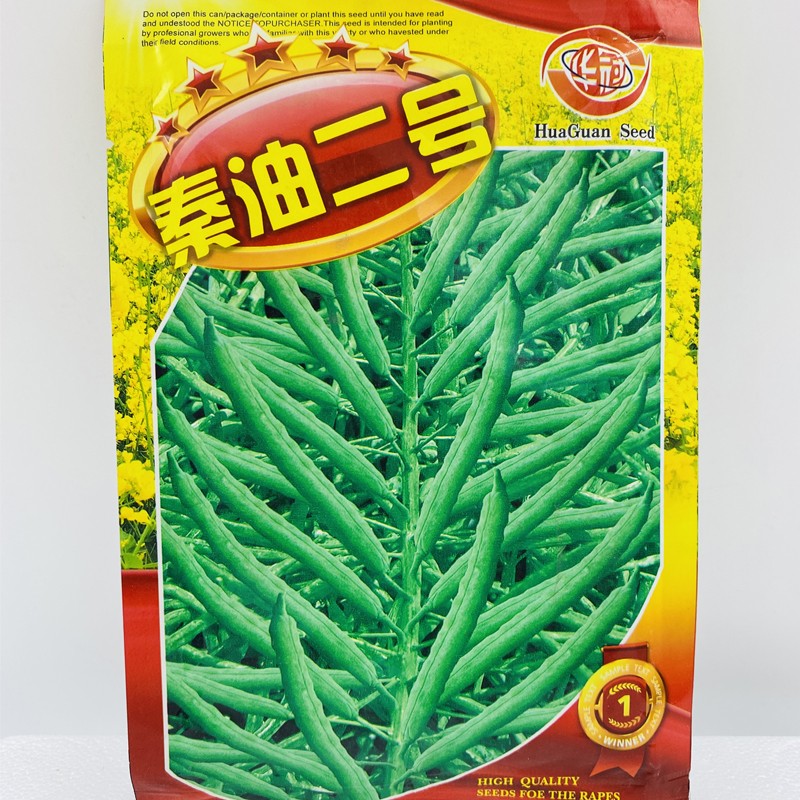 油菜花种子高产耐寒油菜籽种子抗倒适应性广油率高秦油二号100克