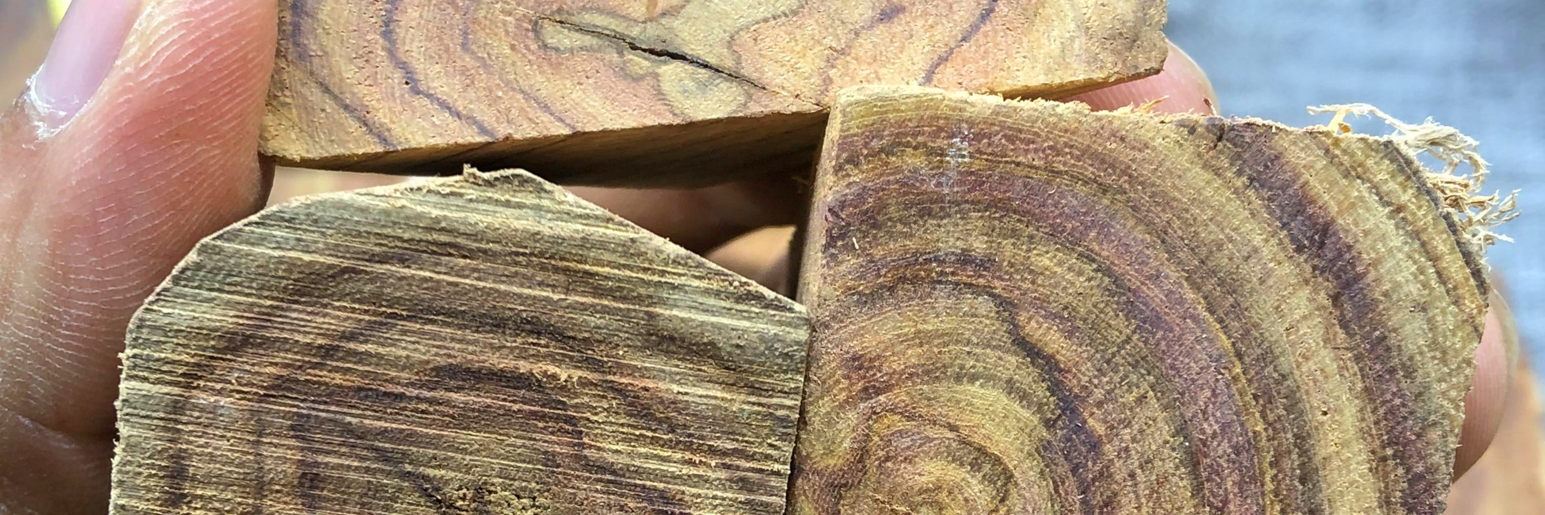 正海南黄花梨碎料 diy边角料 原木原料 代加工手串 药材下角吊坠珠子