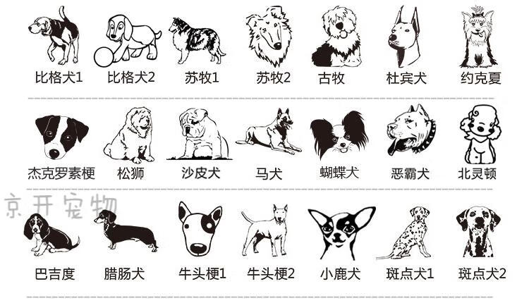 【个性定制 好看不勒】宠物猫咪身份牌定制牛皮刻字猫牌项圈定做防丢