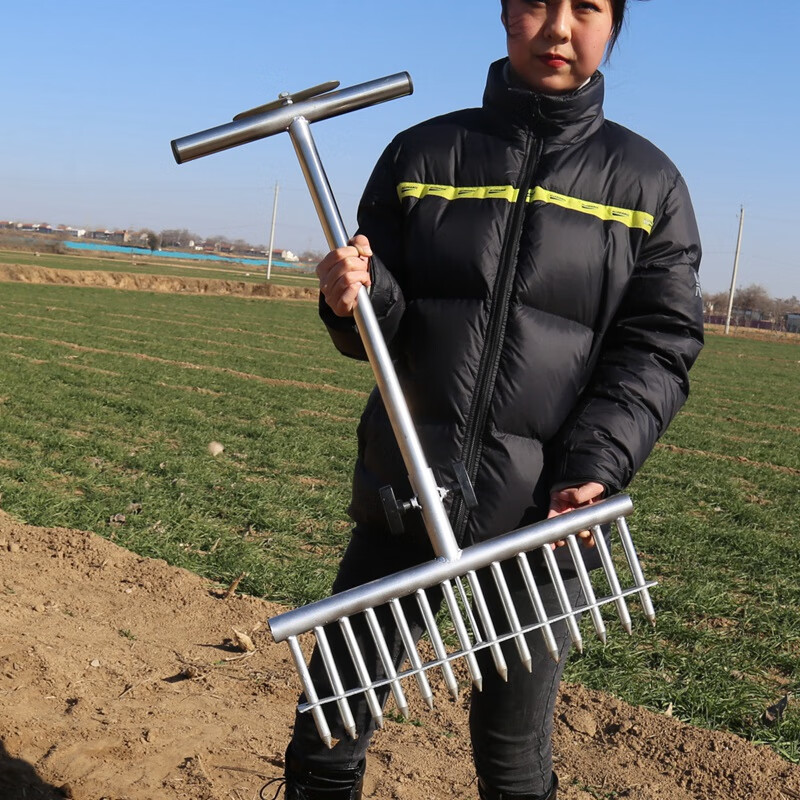 德骊嘉栽葱神器种葱叉子大葱移栽机器洋葱插葱工具打洞眼农用种菜打孔