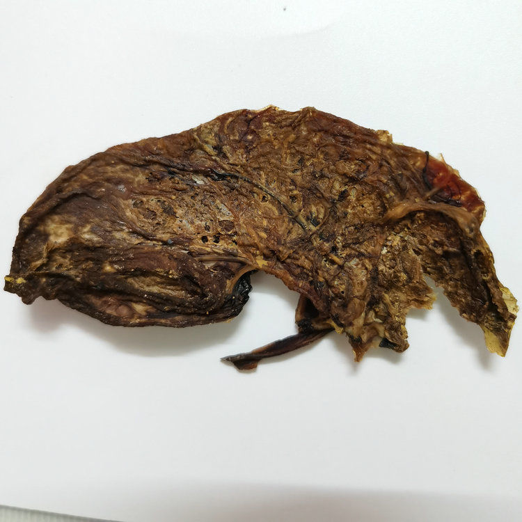 伟博【猪胎盘】猪胎粉纯正胎盘粉孢衣粉古法风干猪胎盘研磨打粉胎盘粉