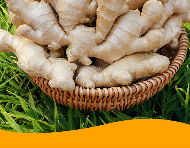 生姜批发老姜干净新鲜山东大姜一箱风干姜现挖大块姜净重3斤精选大块