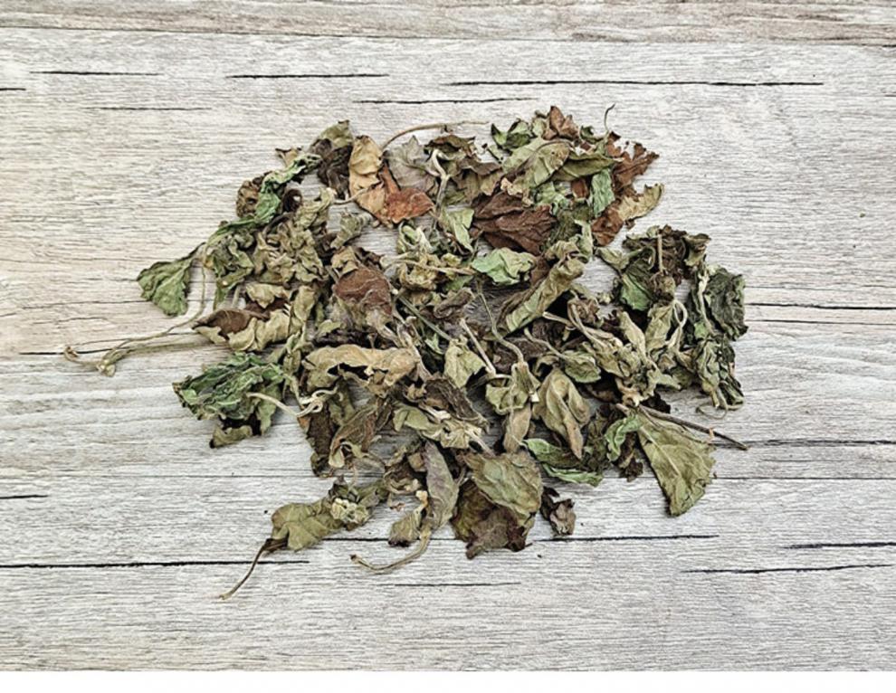 构趣纯藿香叶子广藿香叶干货500g中药材散装晒干生野藿香茶另有佩兰