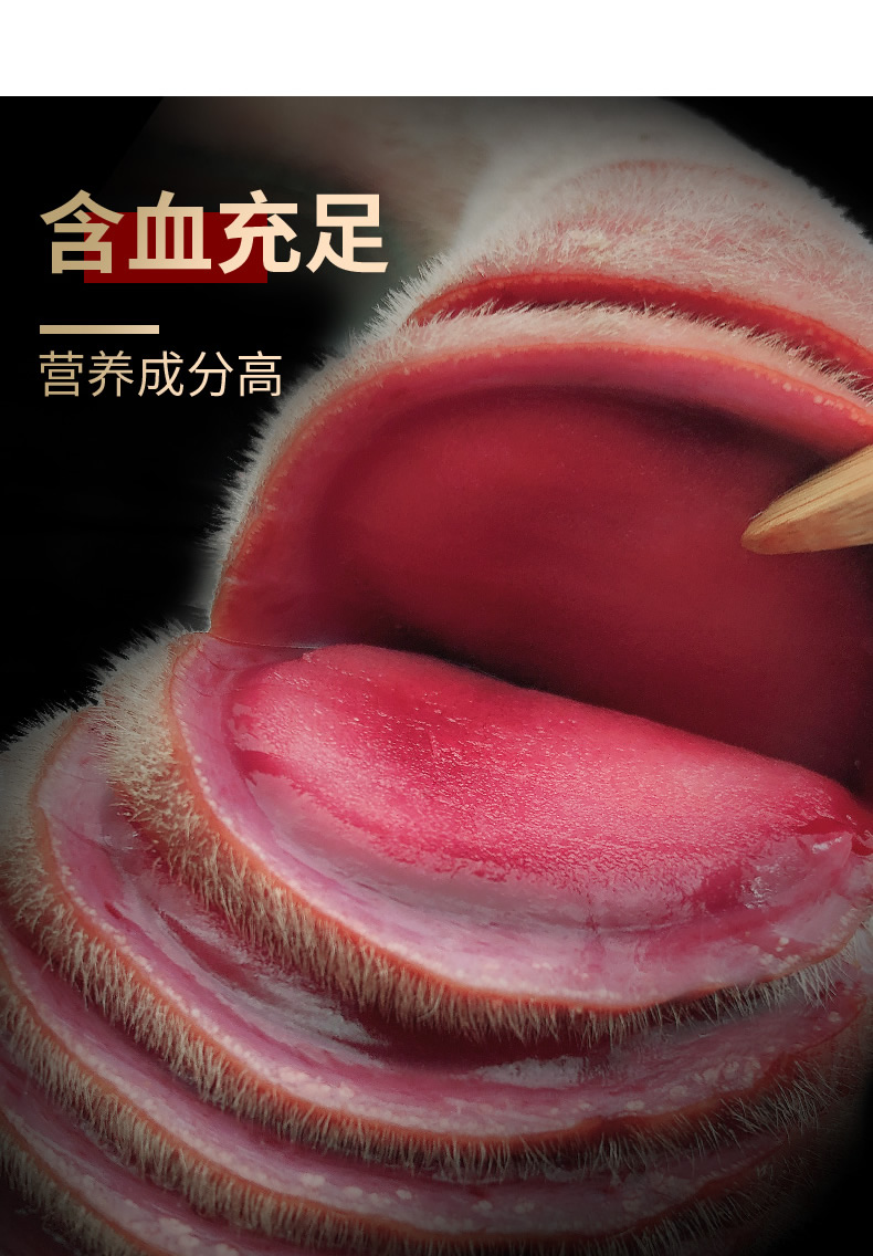 吉林梅花鲜鹿茸整枝正宗新鲜切血片头茬二杠非500g泡酒药材