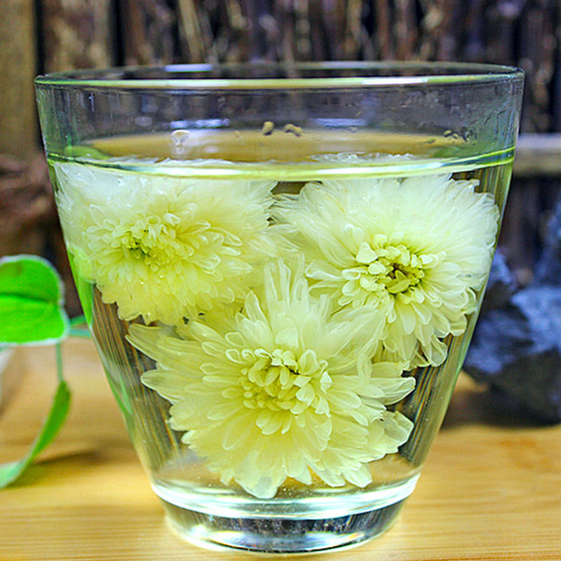 黄山白菊花茶散装新货泡水喝的七月菊苦菊花茶非黄山贡菊花草茶店长