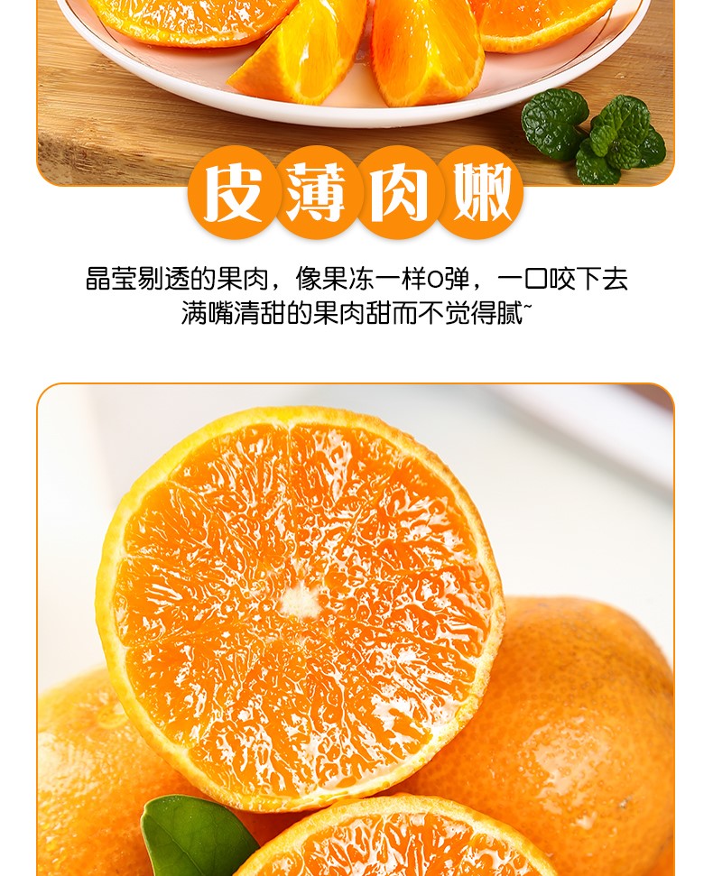 爱媛（定制改）_09.jpg