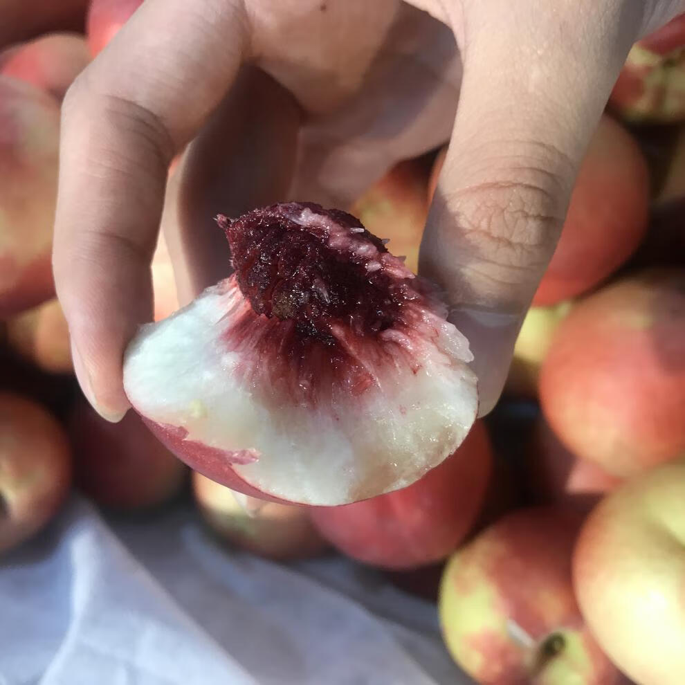 媚调 正宗新疆蜜桃早甜脆珍珠桃新鲜应季5斤装应季水果【图片 价格