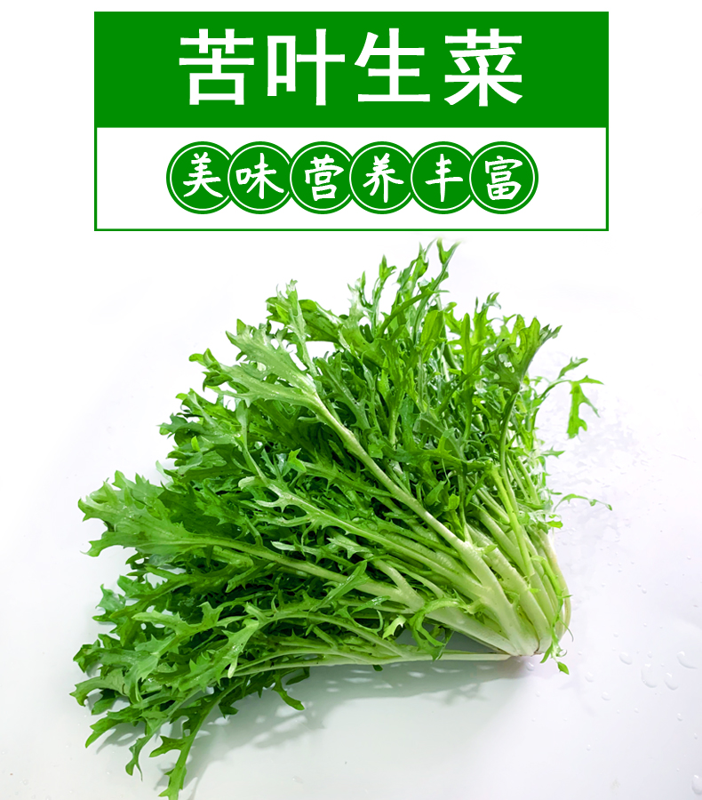 5斤苦叶苦细叶生菜狗牙菜苦苣 蔬菜沙拉菜食材【图片 价格 品牌 报价