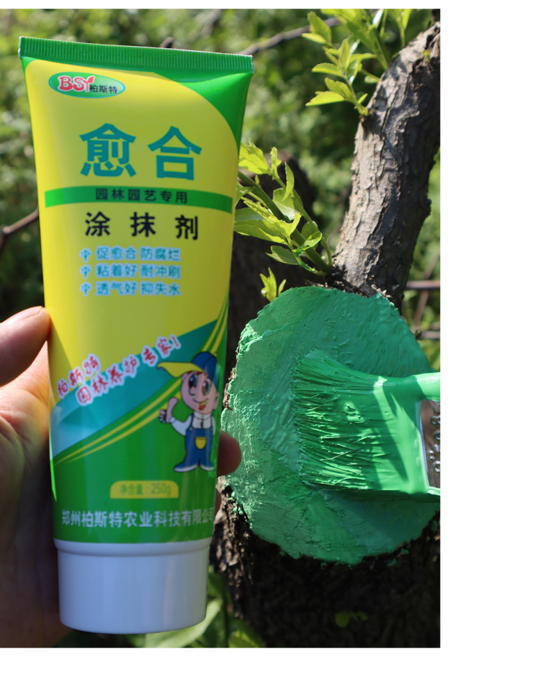 黎秋科 树木伤口愈合剂植物伤口封口愈合剂果树盆景树枝涂抹剂大树