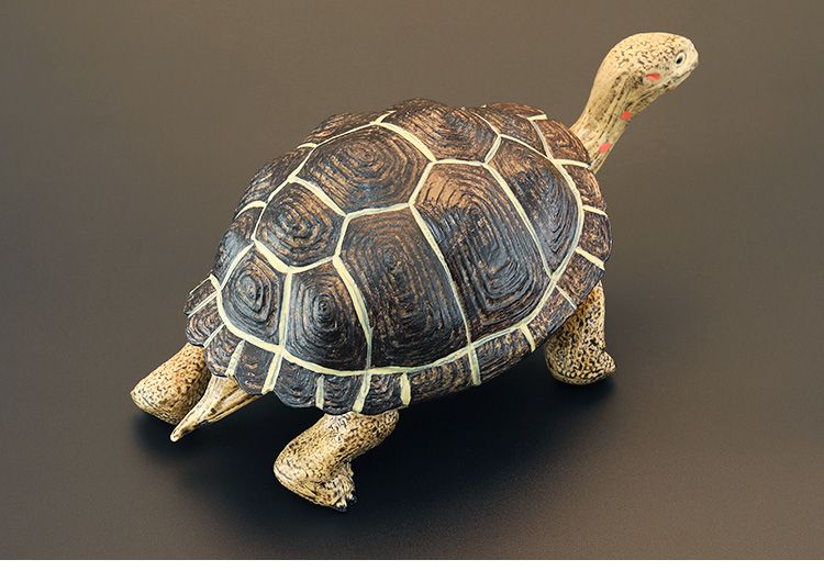 象龟儿童仿真动物模型套装象龟陆龟乌龟认知礼品摆件sn1433加拉帕戈斯