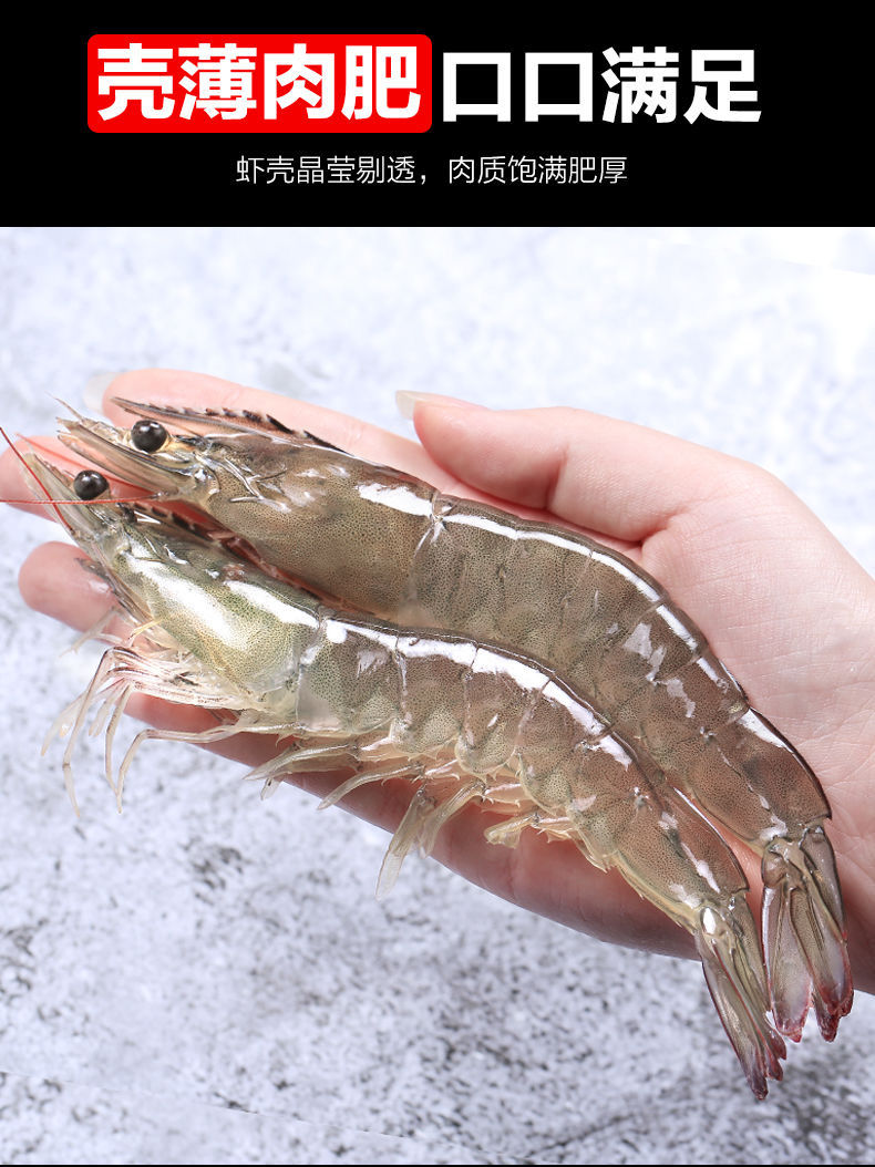 哪里的活虾批发最便宜 