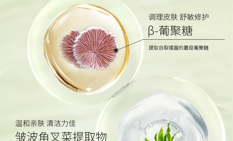 娇润泉氨基酸洗面奶臻颜净透温和清爽敏感肌控油小杨哥七老板男女士 （划算装）洁面乳100g*2支
