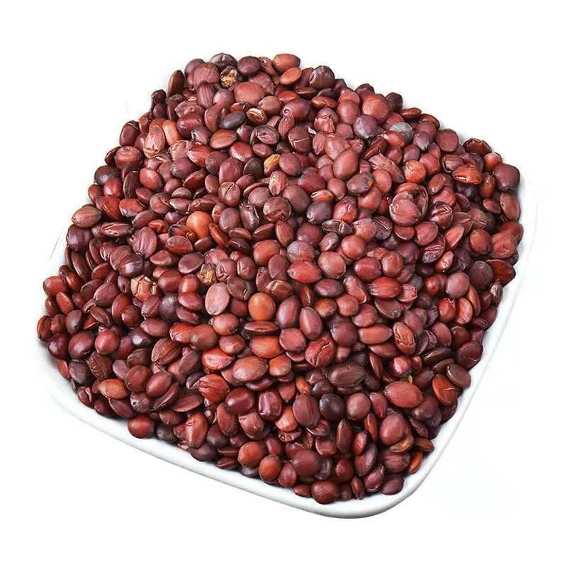 酸枣仁中药材炒酸枣仁熟酸枣仁可代客磨粉酸枣仁茶酸枣仁粉250g