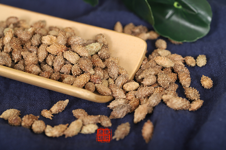 康德瑞琪 苍耳子500克 去刺苍耳子 牛虱子 胡苍子 非特级野生中药材