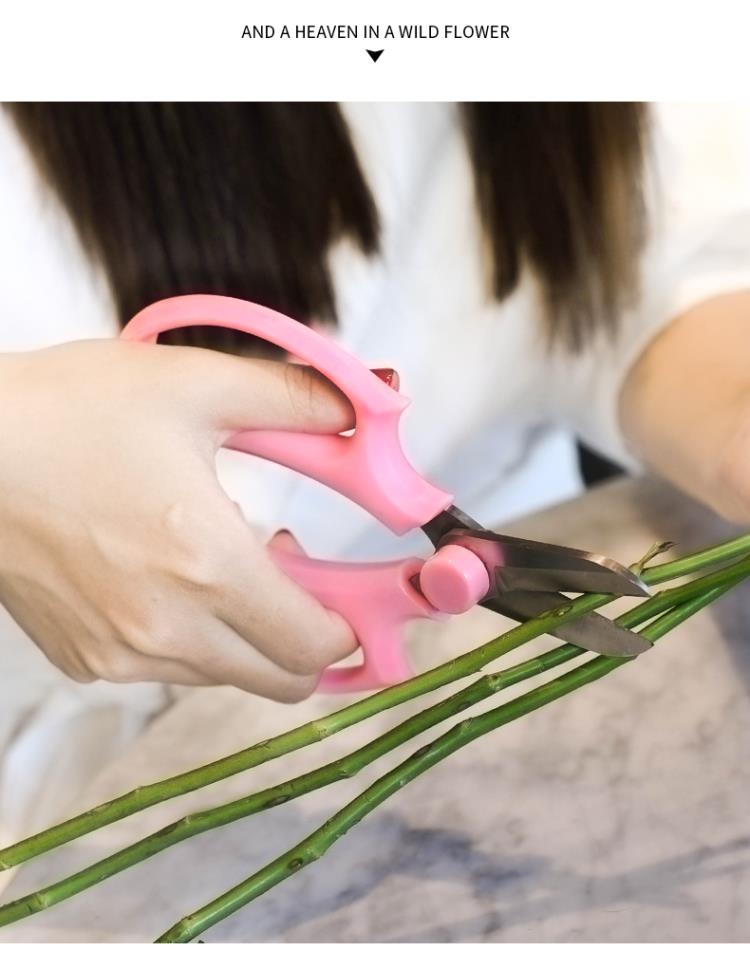 插花园艺花艺剪刀宽头家用花剪鲜花剪树枝修花卉修枝工具虎雀aa紫色