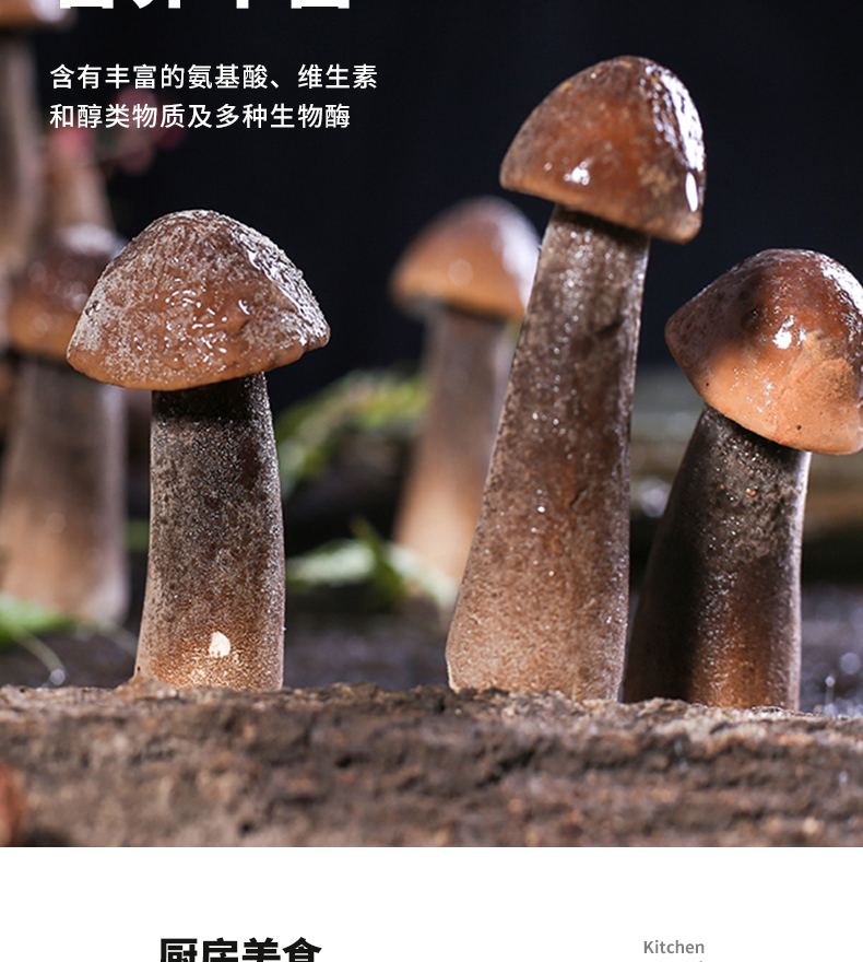 黑皮雞樅菌新鮮菌類秋季滋補雞樅菌500g火鍋煲湯菌菇營養豐富1斤裝