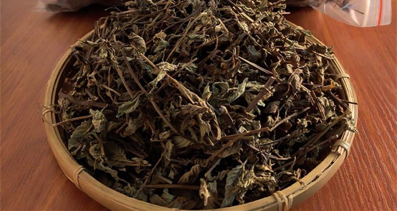 伟博伟博仙人草凉粉草中药材新鲜草干仙人冻仙草凉茶烧仙草原料500g克