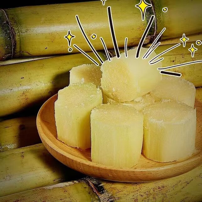 媚调 广东黄皮甘蔗新鲜水果黄皮甘蔗现砍黄皮新鲜应季网红孕妇甘蔗