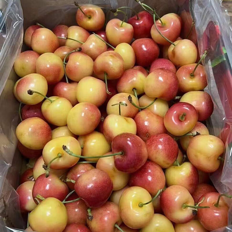 雷尼尔黄色车厘子2斤黄金樱桃新鲜水晶黄皮车厘子顺丰rainie礼盒 1000