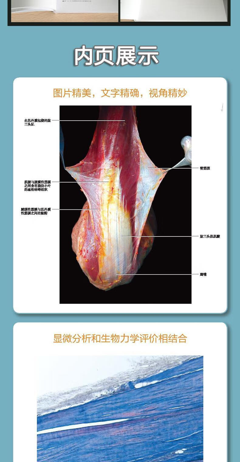人体筋膜系统功能解剖图谱 贺大林主译 意大利引进中文简体版功能解剖