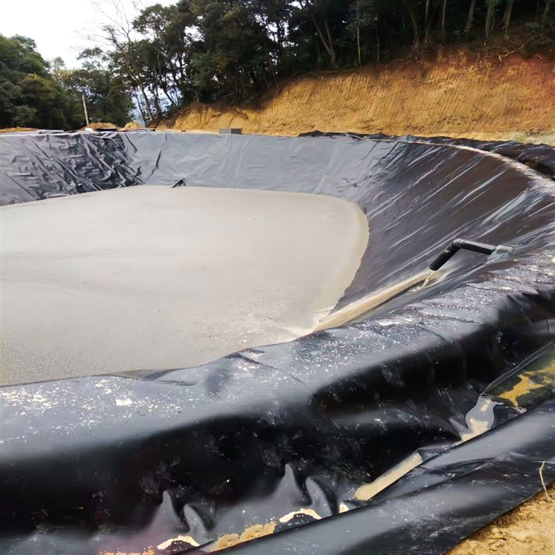 鱼池防水布土工膜水池hdpe护坡防漏防渗塑料膜190g加厚一级全新料新