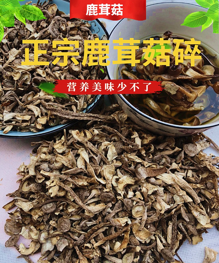 鹿茸菇乾貨鹿茸菌500g古田鹿茸菇碎片菌煲湯