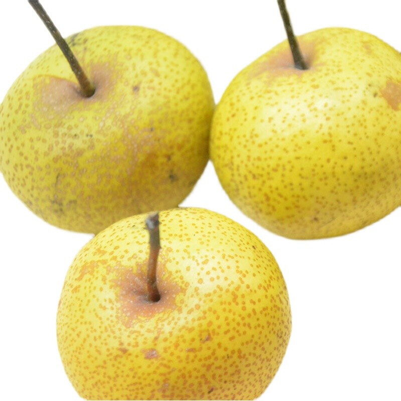 蓟县酸梨&新鲜青山酸梨现摘5斤细皮多汁蓟州烂酸梨小酸梨(预售) 中