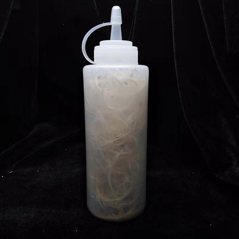 残翅果蝇杯活体饲料螳螂蜘蛛树蛙变色龙食物 小果挤压款试用装50只