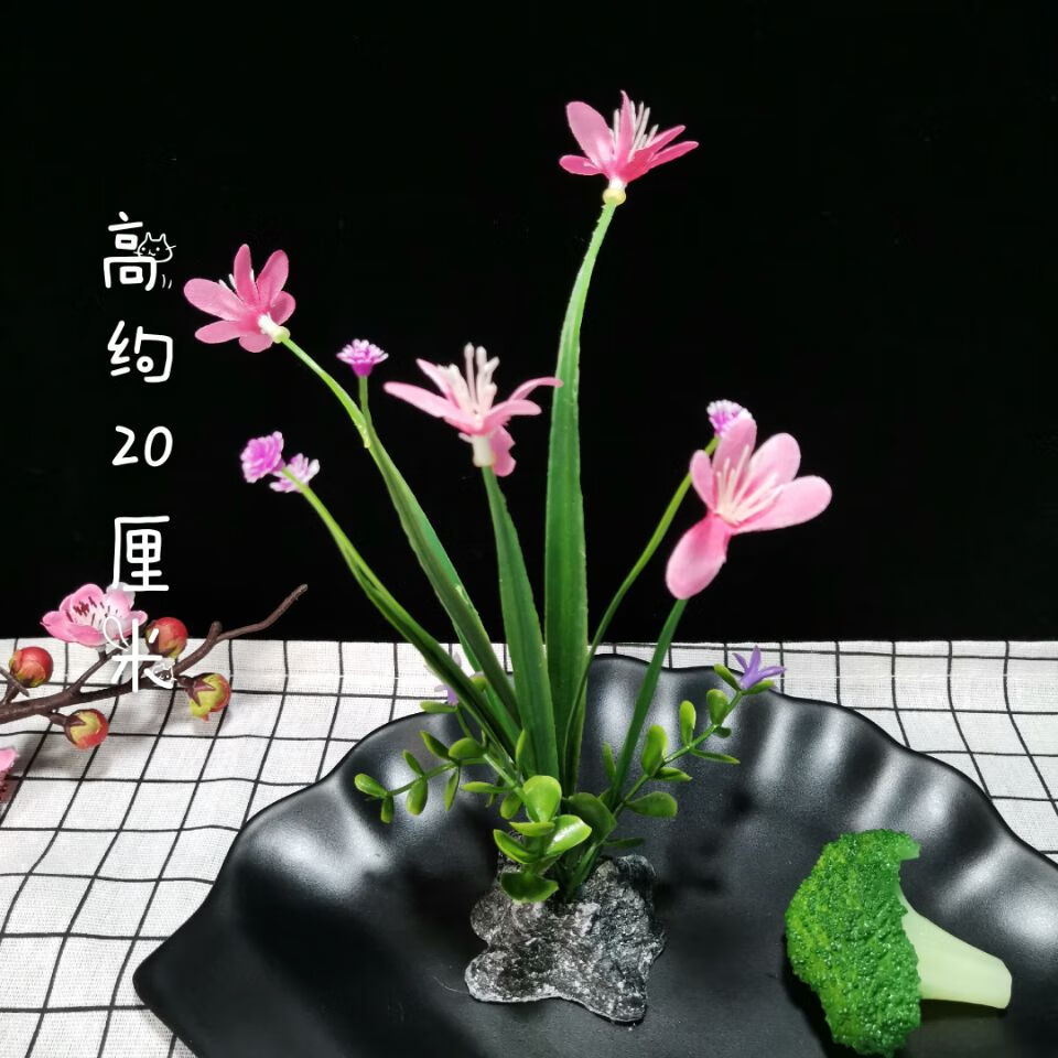 酒店菜品装盘餐厅冷菜盘饰刺身寿司拼盘创意摆件摆盘装饰花草点缀树桩