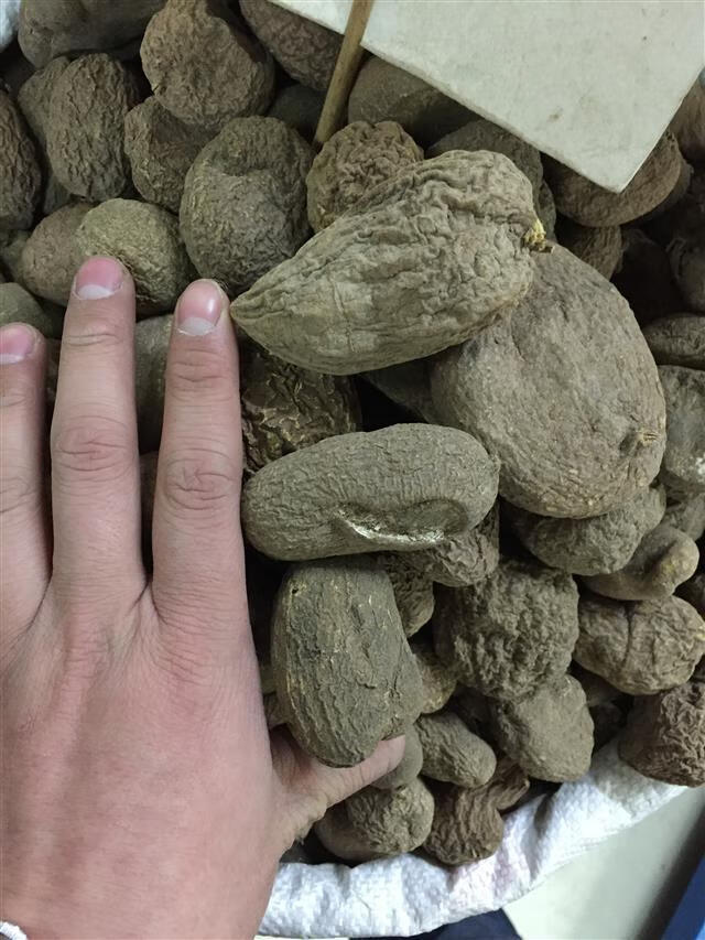 地苦胆 中材金果榄九牛胆 九莲子 青鱼胆 九龙胆 50克(不太少不划算)