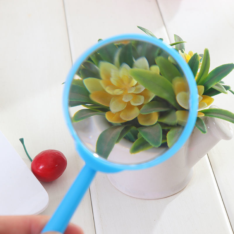 儿童手持高清放大镜便携式幼儿园小学生科学实验玩具扩大镜观察器放大