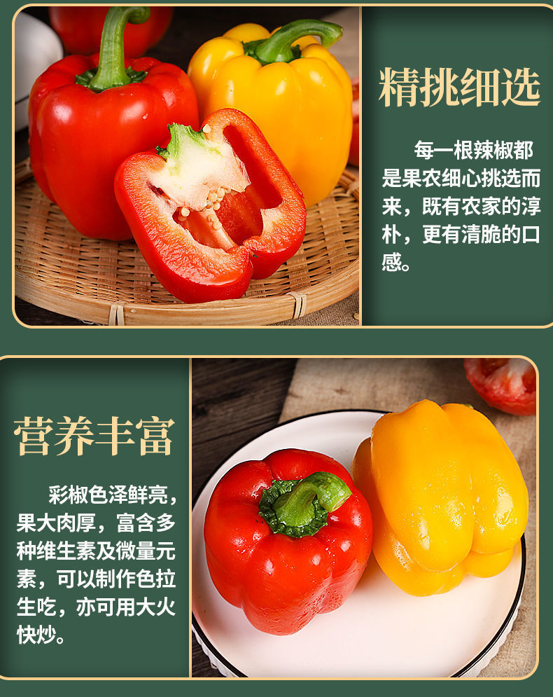 寿光太空椒七彩辣椒新鲜灯笼辣椒红辣椒青辣椒五彩辣椒