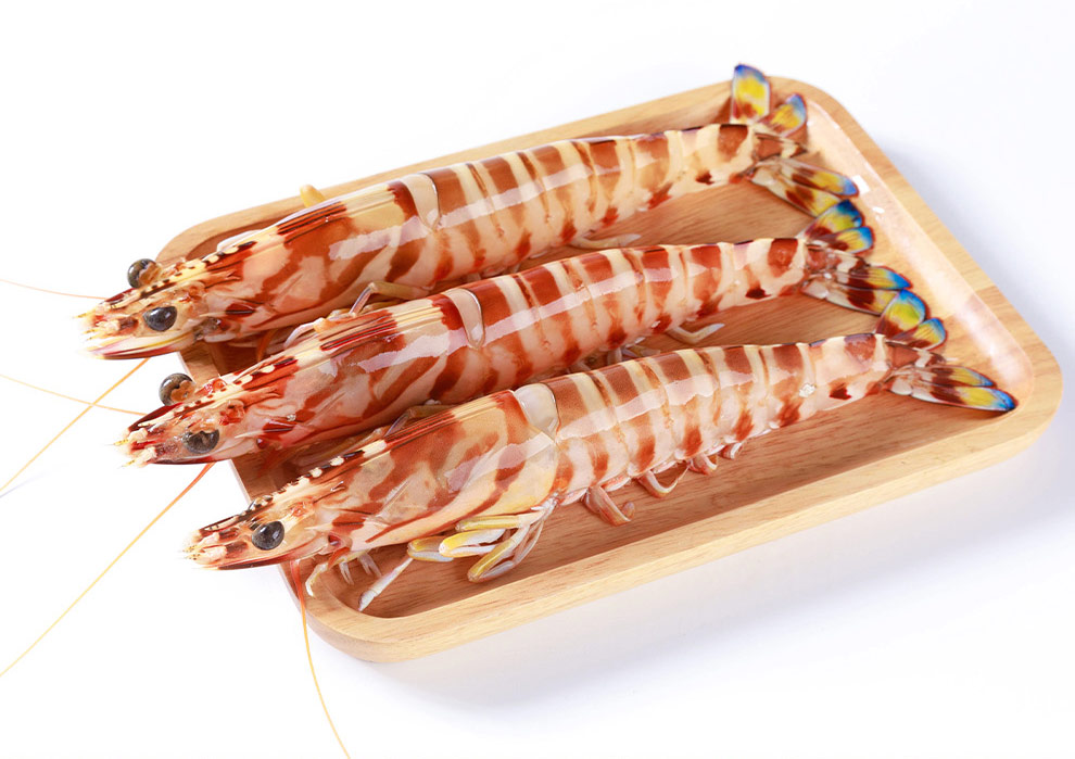 海捕斑节虾九节虾鲜活冻刺身竹节虾比黑虎虾鲜甜特大新鲜冷冻海虾深海